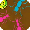 Ant Maze