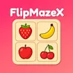 FlipMazeX