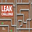 Leak Challenge