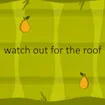 watch out for the roof